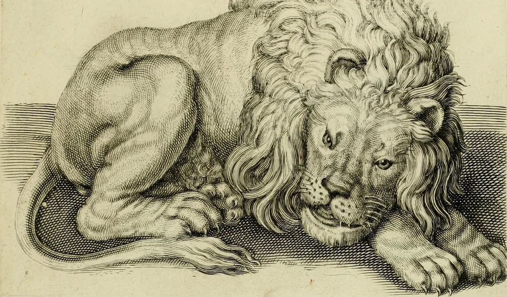 An illustration from La prima-[quinta] parte della luce del dipingere et disegnare, ..., 1643, leaf 346