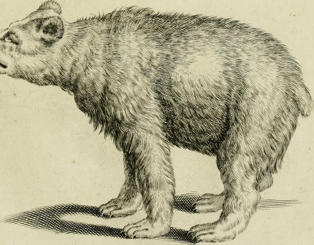 An illustration from La prima-[quinta] parte della luce del dipingere et disegnare, ..., 1643, leaf 352