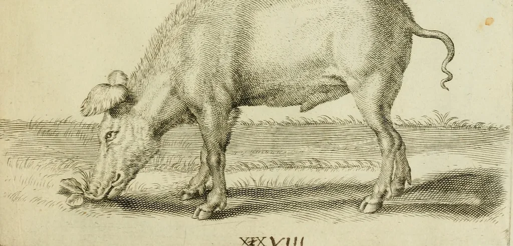 An illustration from La prima-[quinta] parte della luce del dipingere et disegnare, ..., 1643, leaf 364