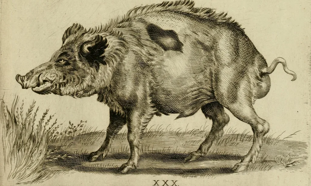 An illustration from La prima-[quinta] parte della luce del dipingere et disegnare, ..., 1643, leaf 368