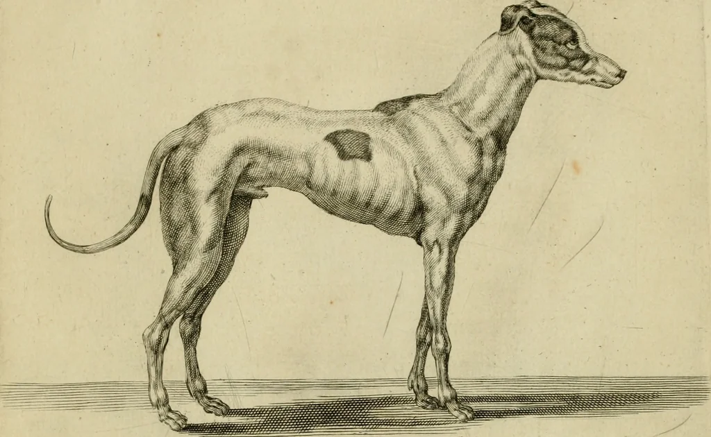 An illustration from La prima-[quinta] parte della luce del dipingere et disegnare, ..., 1643, leaf 372