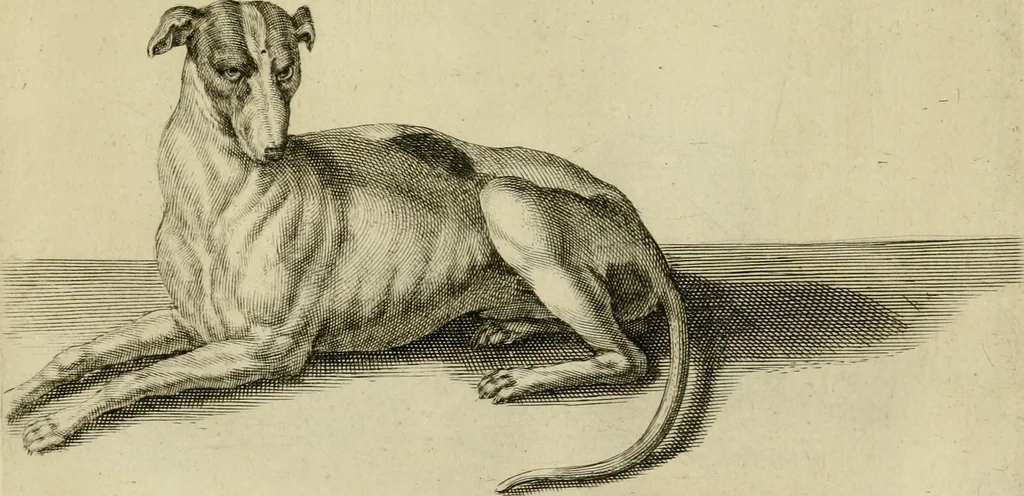 An illustration from La prima-[quinta] parte della luce del dipingere et disegnare, ..., 1643, leaf 372