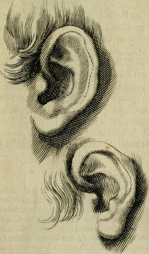 An illustration from La prima-[quinta] parte della luce del dipingere et disegnare, ..., 1643, leaf 38