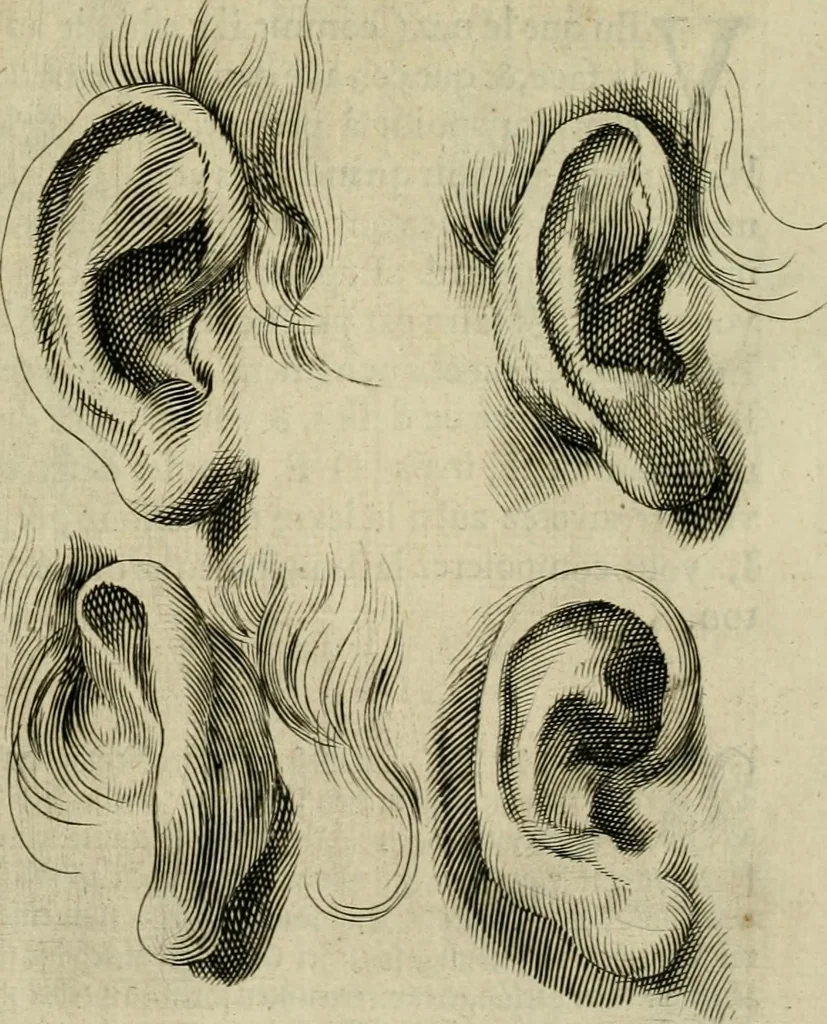 An illustration from La prima-[quinta] parte della luce del dipingere et disegnare, ..., 1643, leaf 38