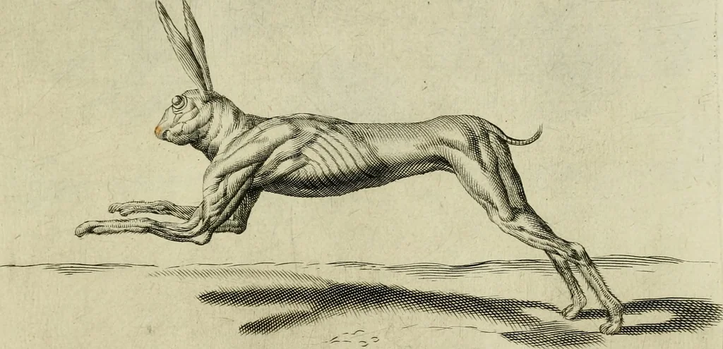 An illustration from La prima-[quinta] parte della luce del dipingere et disegnare, ..., 1643, leaf 390