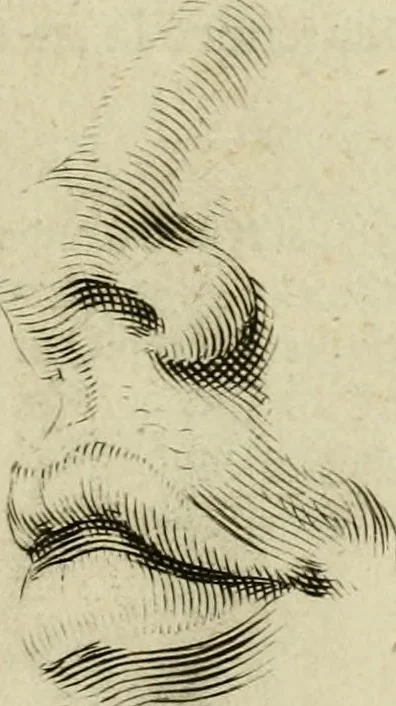 An illustration from La prima-[quinta] parte della luce del dipingere et disegnare, ..., 1643, leaf 40