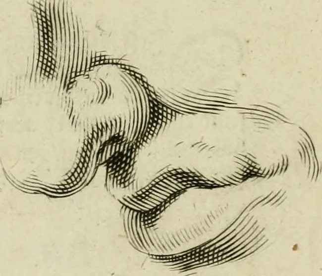 An illustration from La prima-[quinta] parte della luce del dipingere et disegnare, ..., 1643, leaf 40