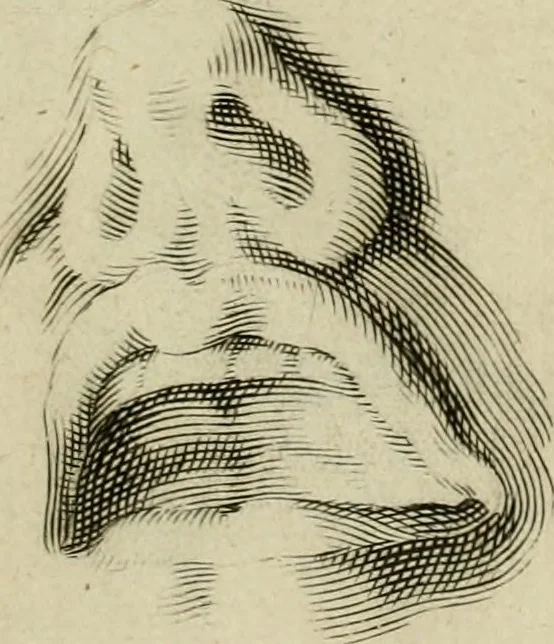 An illustration from La prima-[quinta] parte della luce del dipingere et disegnare, ..., 1643, leaf 40