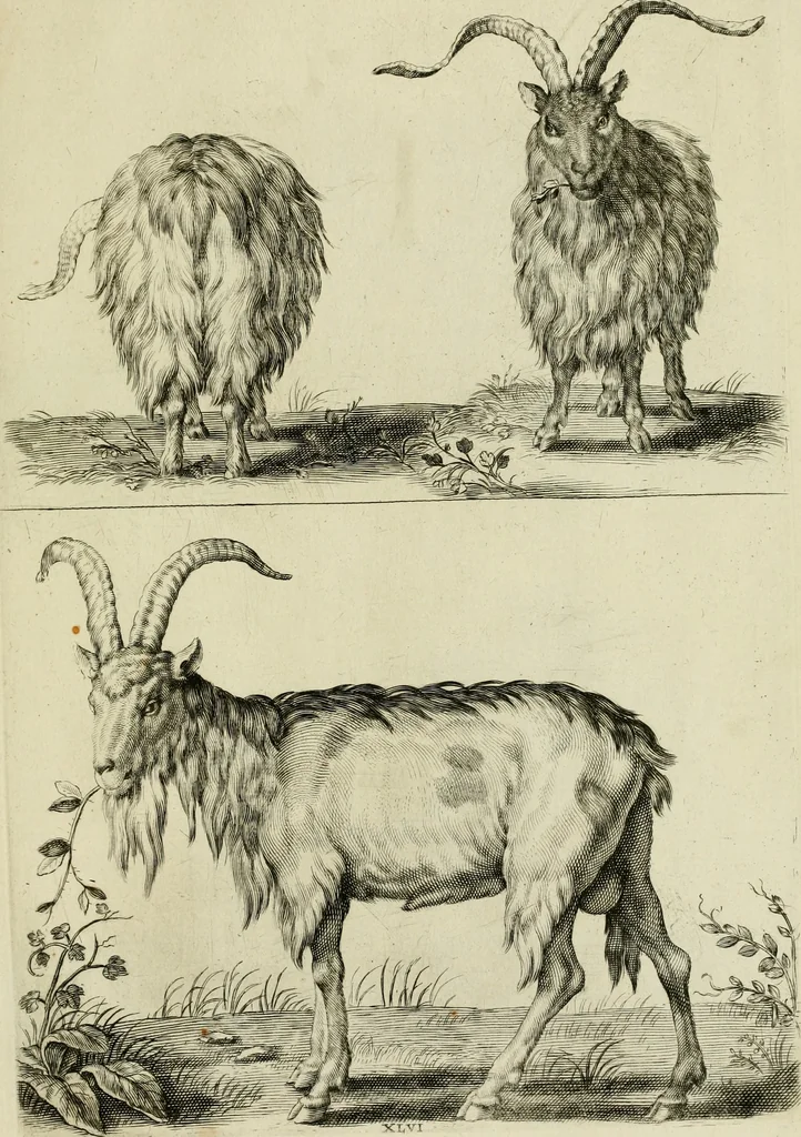 An illustration from La prima-[quinta] parte della luce del dipingere et disegnare, ..., 1643, leaf 400
