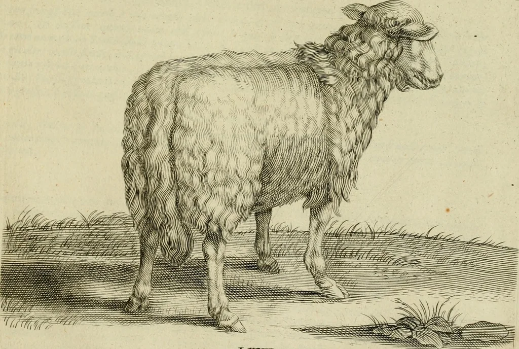 An illustration from La prima-[quinta] parte della luce del dipingere et disegnare, ..., 1643, leaf 402