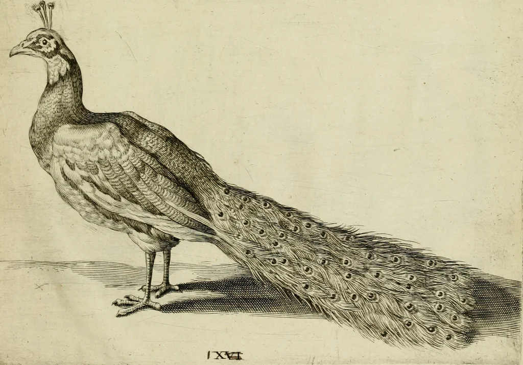 An illustration from La prima-[quinta] parte della luce del dipingere et disegnare, ..., 1643, leaf 424