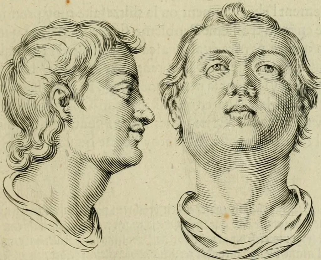 An illustration from La prima-[quinta] parte della luce del dipingere et disegnare, ..., 1643, leaf 44
