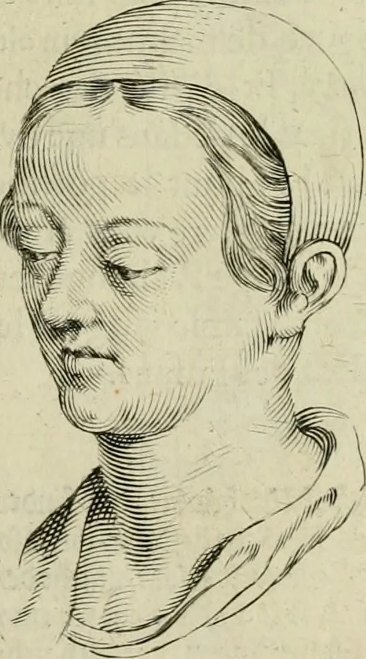 An illustration from La prima-[quinta] parte della luce del dipingere et disegnare, ..., 1643, leaf 44