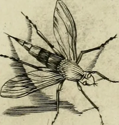 An illustration from La prima-[quinta] parte della luce del dipingere et disegnare, ..., 1643, leaf 442