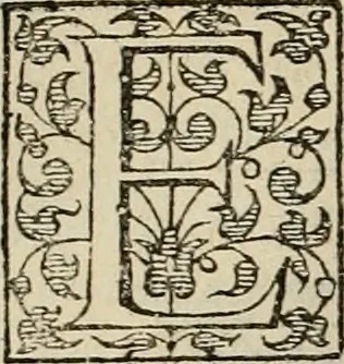 An illustration from La prima-[quinta] parte della luce del dipingere et disegnare, ..., 1643, leaf 45