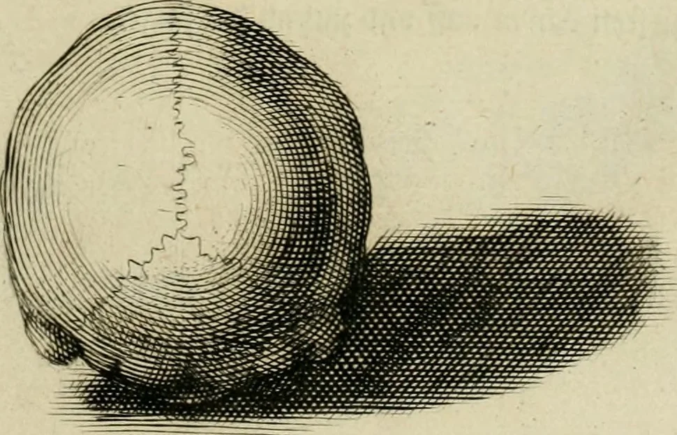 An illustration from La prima-[quinta] parte della luce del dipingere et disegnare, ..., 1643, leaf 48