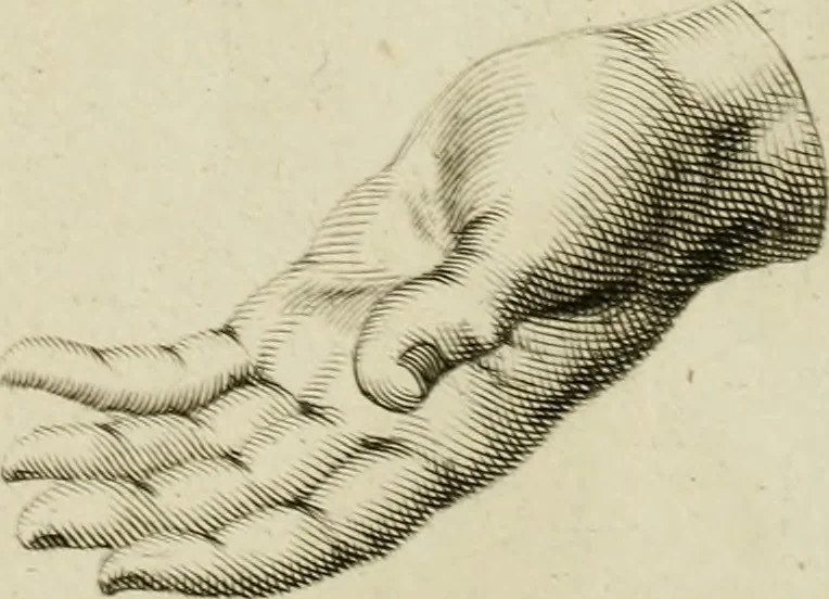 An illustration from La prima-[quinta] parte della luce del dipingere et disegnare, ..., 1643, leaf 50