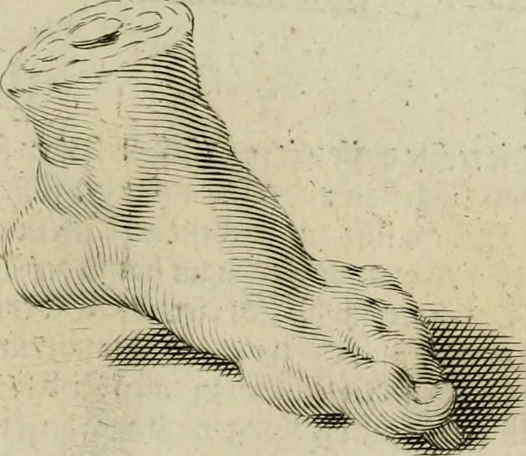 An illustration from La prima-[quinta] parte della luce del dipingere et disegnare, ..., 1643, leaf 56