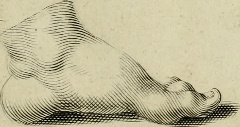 An illustration from La prima-[quinta] parte della luce del dipingere et disegnare, ..., 1643, leaf 56