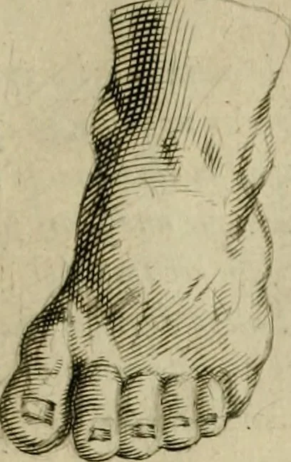 An illustration from La prima-[quinta] parte della luce del dipingere et disegnare, ..., 1643, leaf 58