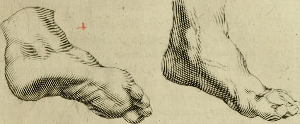 An illustration from La prima-[quinta] parte della luce del dipingere et disegnare, ..., 1643, leaf 58