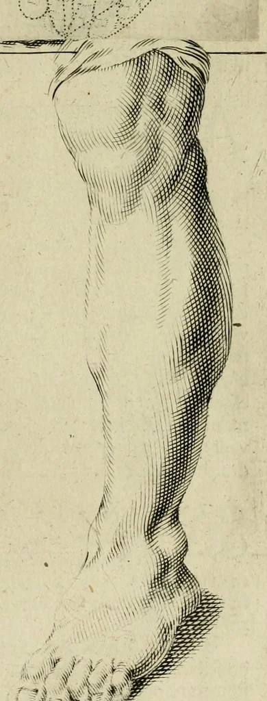 An illustration from La prima-[quinta] parte della luce del dipingere et disegnare, ..., 1643, leaf 60