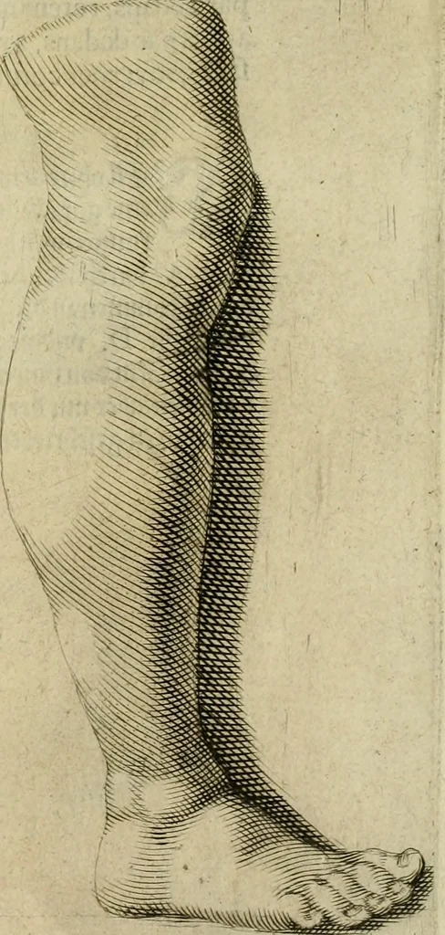 An illustration from La prima-[quinta] parte della luce del dipingere et disegnare, ..., 1643, leaf 64