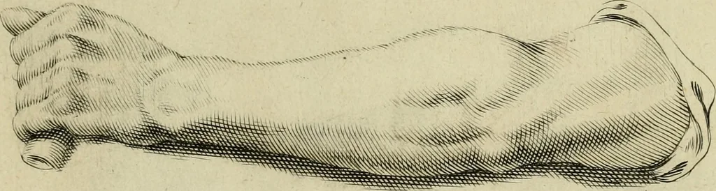 An illustration from La prima-[quinta] parte della luce del dipingere et disegnare, ..., 1643, leaf 66