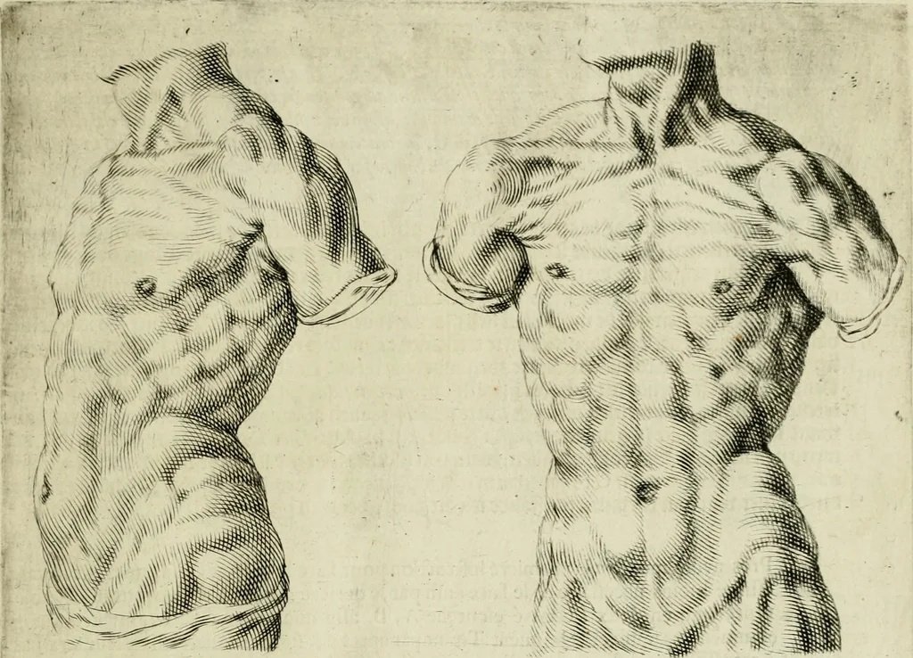 An illustration from La prima-[quinta] parte della luce del dipingere et disegnare, ..., 1643, leaf 72