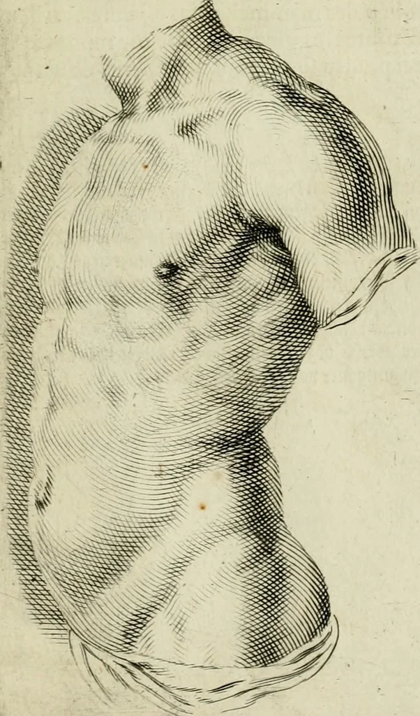An illustration from La prima-[quinta] parte della luce del dipingere et disegnare, ..., 1643, leaf 72