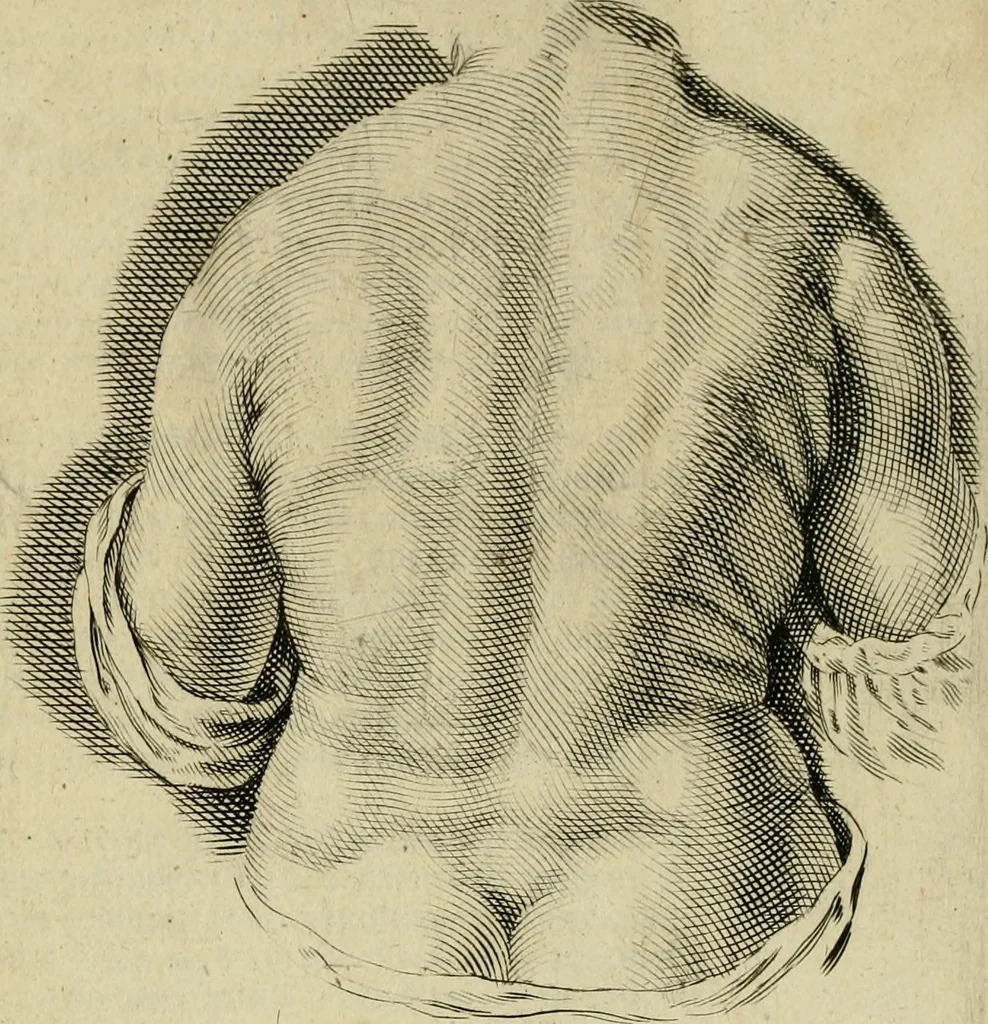 An illustration from La prima-[quinta] parte della luce del dipingere et disegnare, ..., 1643, leaf 78