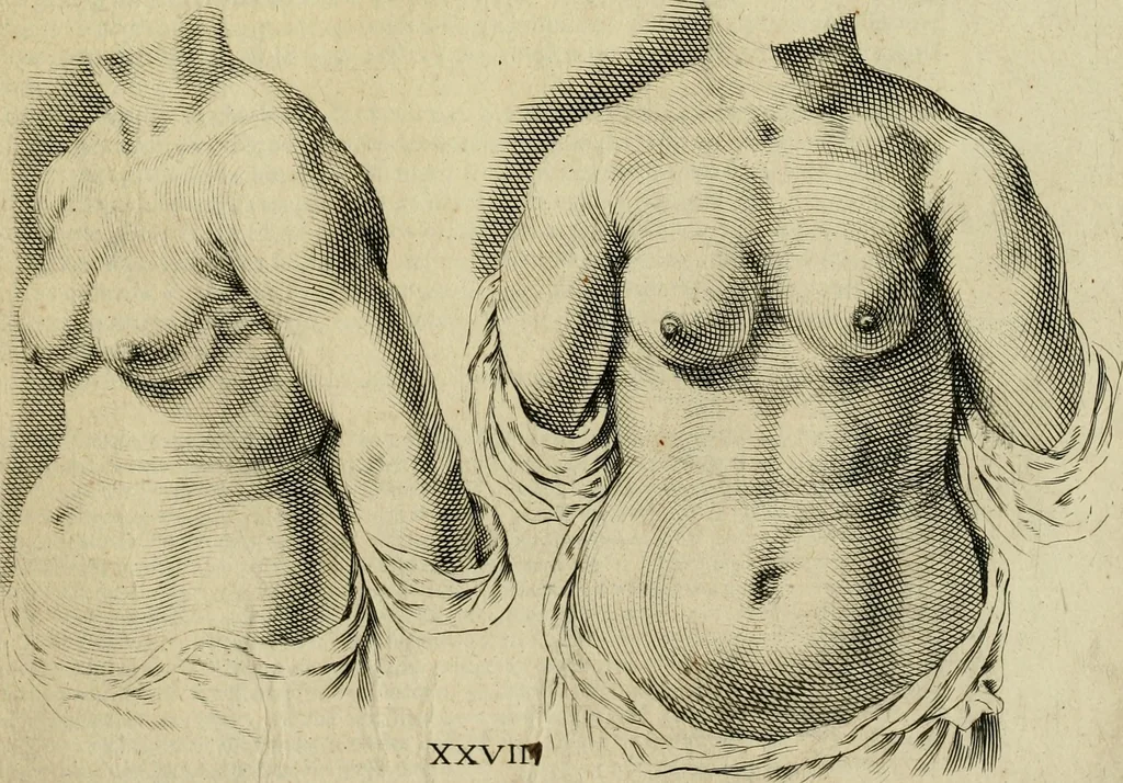 An illustration from La prima-[quinta] parte della luce del dipingere et disegnare, ..., 1643, leaf 78