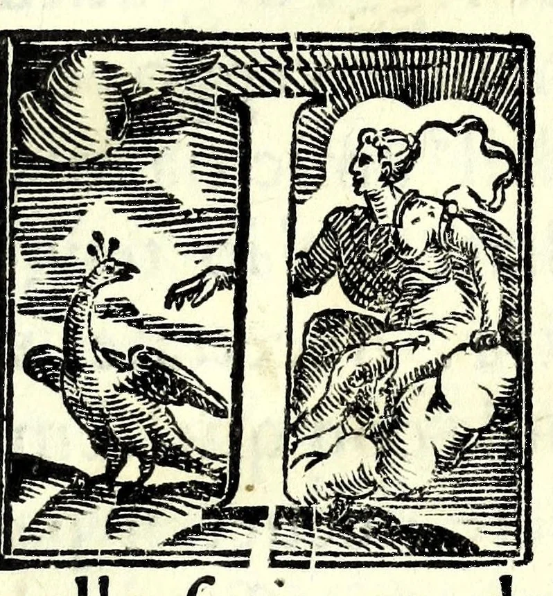 An illustration from La principessa Silandra : tragedia, 1621, leaf 7