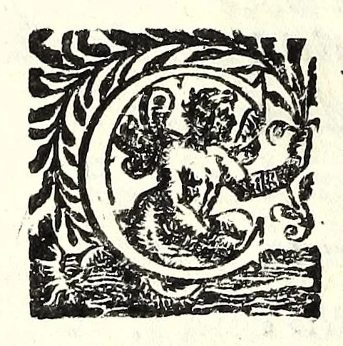 An illustration from La principessa Silandra : tragedia, 1621, leaf 88