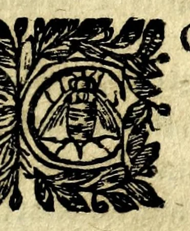 An illustration from La prodiga figliola Margarita la beata di Cortona : rappresentatione, 1665, leaf 141