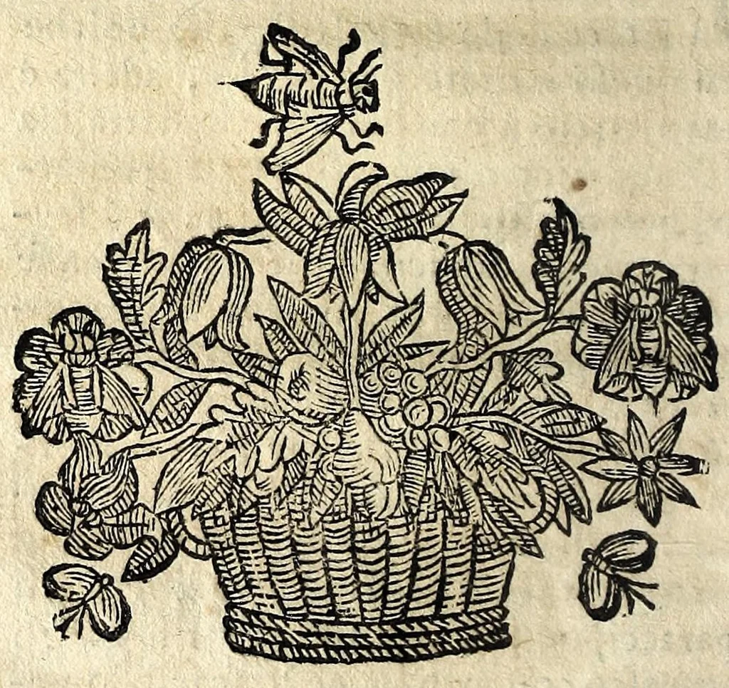 An illustration from La prodiga figliola Margarita la beata di Cortona : rappresentatione, 1665, leaf 36