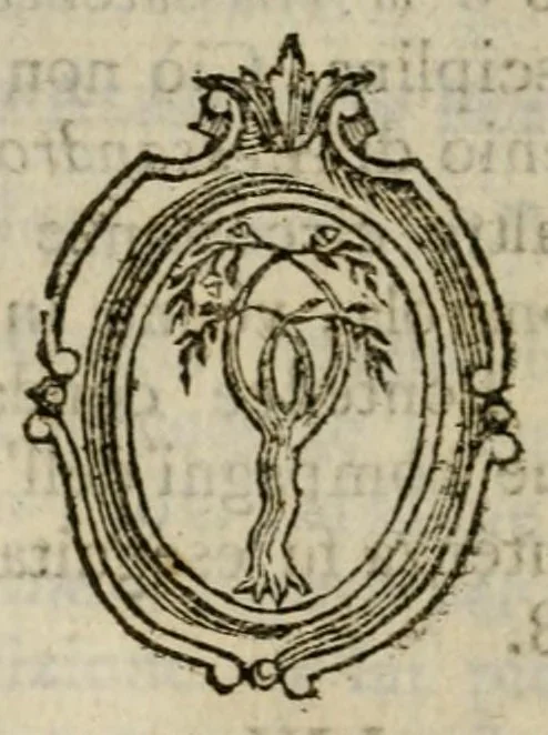 An illustration from La profezia dei sommi pontefici romani : con illustrazioni e note, 1794, leaf 120