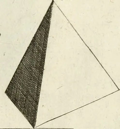 An illustration from La prospettiua pratica, 1645, leaf 24