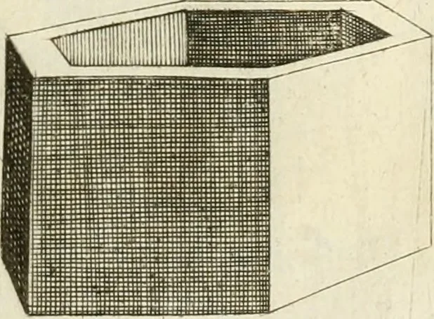 An illustration from La prospettiua pratica, 1645, leaf 36