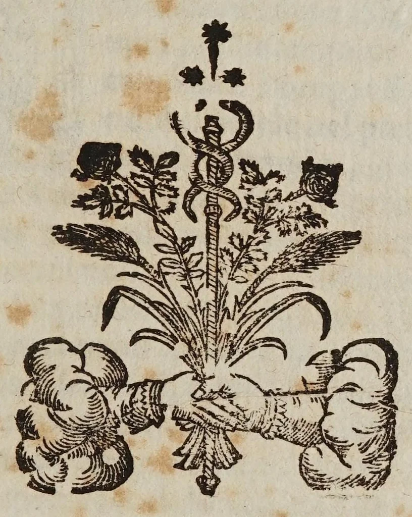 An illustration from La psiche, 1651, leaf 85