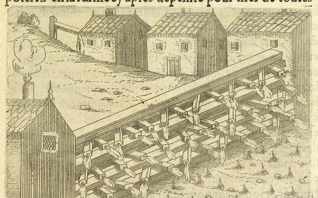An illustration from La pyrotechnie de Hanzelet lorrain, ou sont representez les plus rares & plus appreuuez secrets des machines & des feux artificiels, propres pour assieger, battre, surprende & deffendre toutes places, 1630, leaf 241