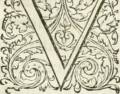 An illustration from L'architecture de Philibert de l'Orme, cõseillier & aumosnier ordinaire du roy, & abbé de S. Serge lez Angiers, 1576, leaf 102