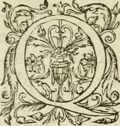 An illustration from L'architecture de Philibert de l'Orme, cõseillier & aumosnier ordinaire du roy, & abbé de S. Serge lez Angiers, 1576, leaf 115