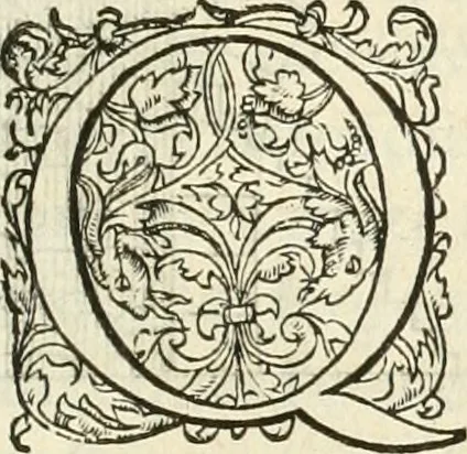 An illustration from L'architecture de Philibert de l'Orme, cõseillier & aumosnier ordinaire du roy, & abbé de S. Serge lez Angiers, 1576, leaf 128