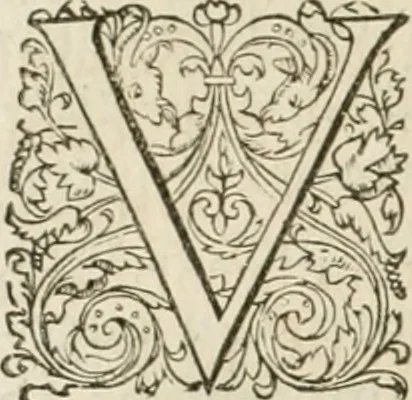 An illustration from L'architecture de Philibert de l'Orme, cõseillier & aumosnier ordinaire du roy, & abbé de S. Serge lez Angiers, 1576, leaf 183