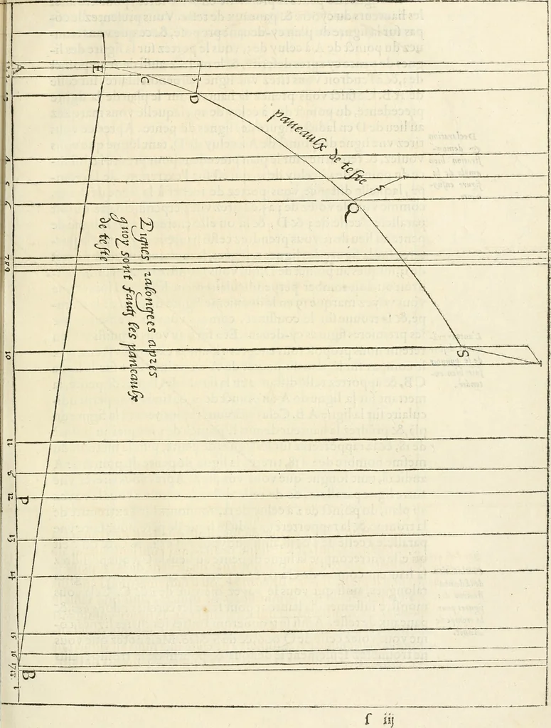An illustration from L'architecture de Philibert de l'Orme, cõseillier & aumosnier ordinaire du roy, & abbé de S. Serge lez Angiers, 1576, leaf 216