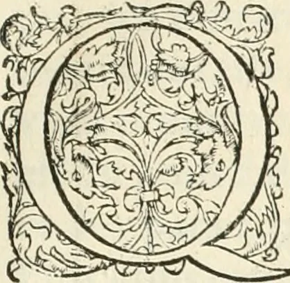 An illustration from L'architecture de Philibert de l'Orme, cõseillier & aumosnier ordinaire du roy, & abbé de S. Serge lez Angiers, 1576, leaf 222