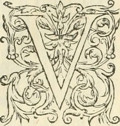 An illustration from L'architecture de Philibert de l'Orme, cõseillier & aumosnier ordinaire du roy, & abbé de S. Serge lez Angiers, 1576, leaf 240