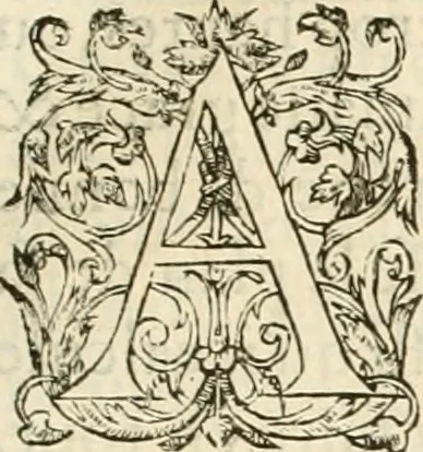 An illustration from L'architecture de Philibert de l'Orme, cõseillier & aumosnier ordinaire du roy, & abbé de S. Serge lez Angiers, 1576, leaf 266