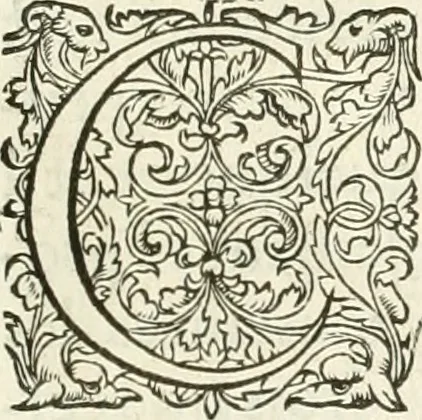 An illustration from L'architecture de Philibert de l'Orme, cõseillier & aumosnier ordinaire du roy, & abbé de S. Serge lez Angiers, 1576, leaf 294